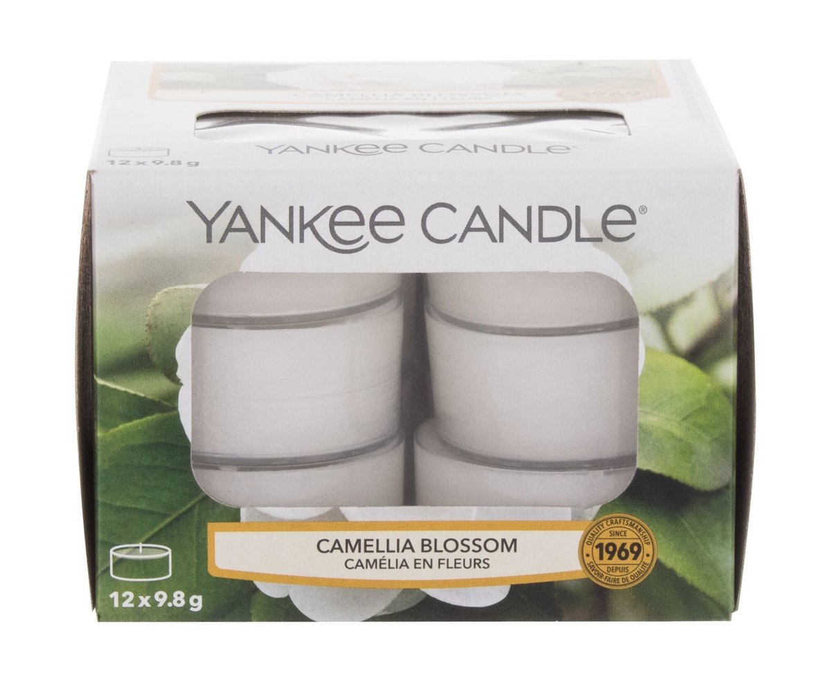 Yankee Candle TEALIGHT A'12 CAMELIA BLOSSOM