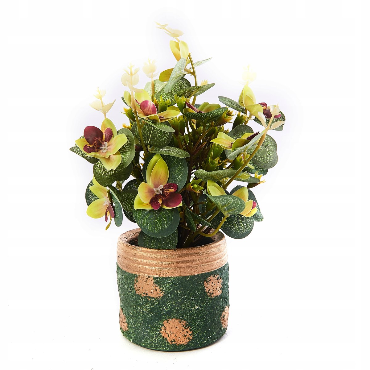 Roślina Liściasta W Doniczce Kwiatek Różne Kolory