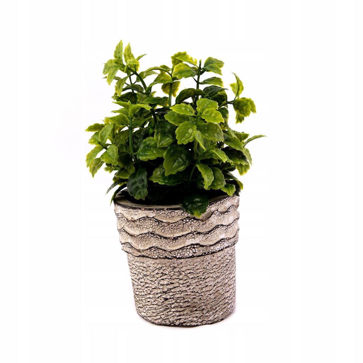 Kwiat Zielona Roślina W Doniczce 18Cm Różne Wzory
