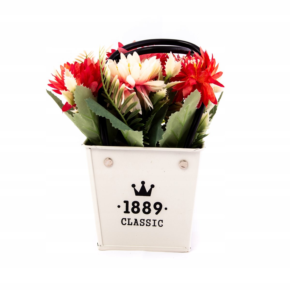 Kwiat W Doniczce Roślina Ozdobna Różne Kolory