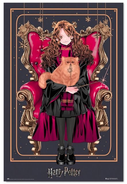 Harry Potter Wizard Dynasty Hermione Granger - plakat