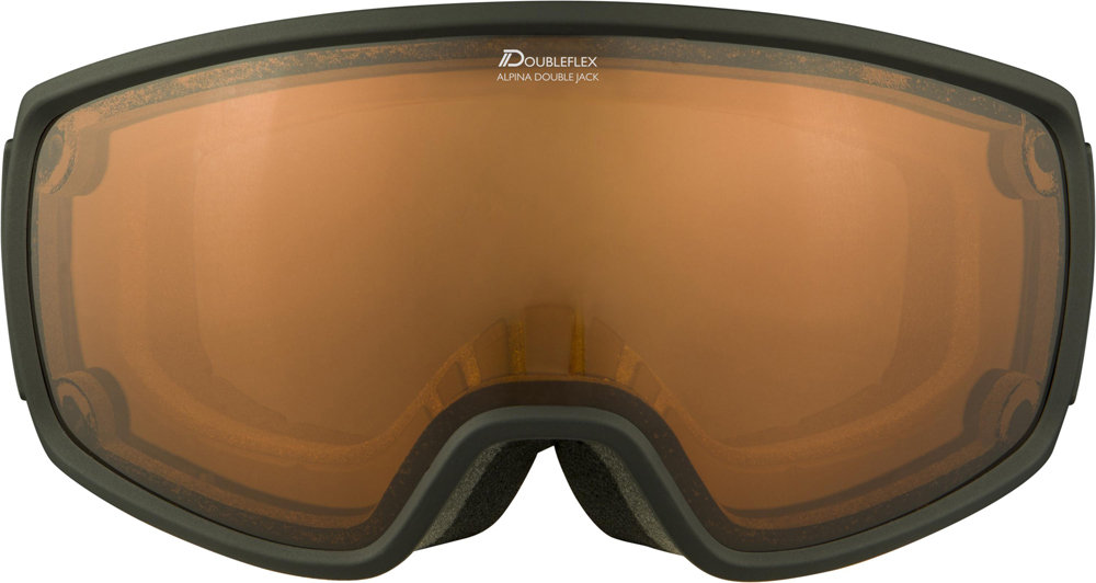 Alpina Double Jack MAG QLITE Goggles, czarny 2021 Gogle narciarskie 7283131