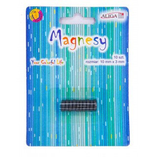 Magnes Mag-3434 10Szt. 10Mm/3Mm Aliga