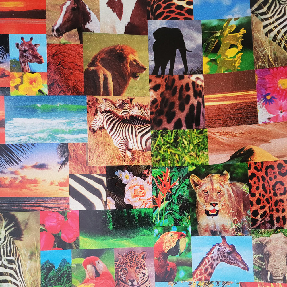 Papier Zwierzatka Do Prezentów 57Cmx25M 25M55