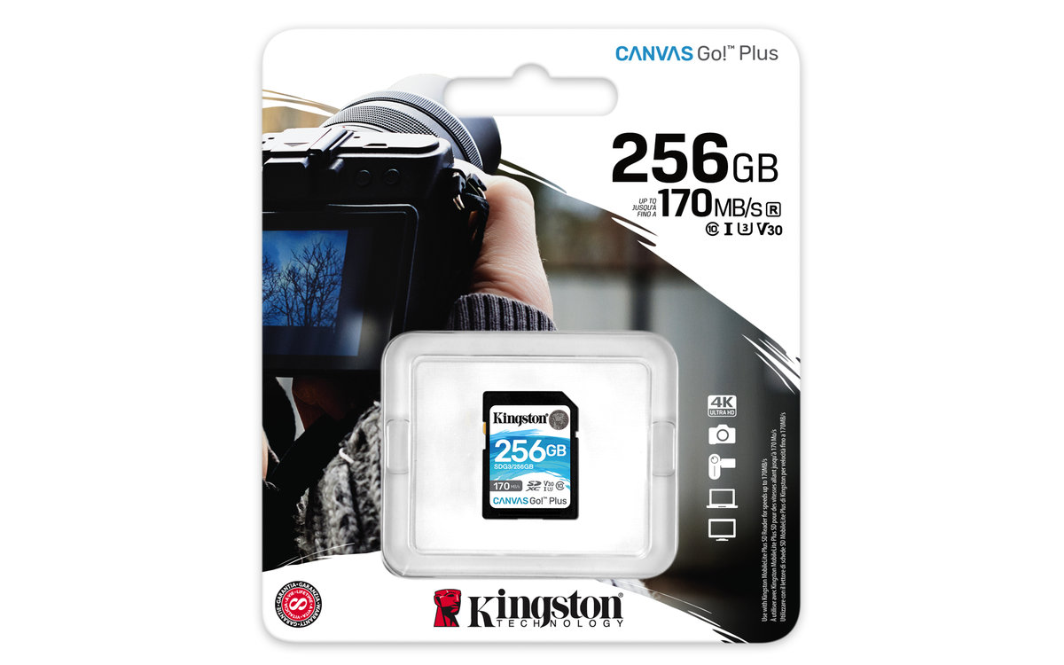 Kingston Canvas Go! Plus 256GB (SDG3/256GB)