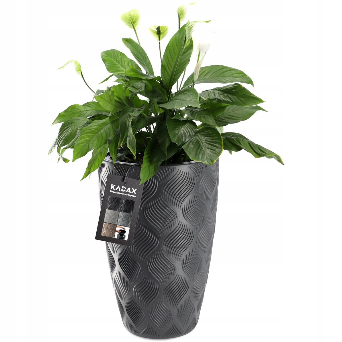 Donica na kwiaty z wkładem wysoka Jesi 40 cm, antracyt