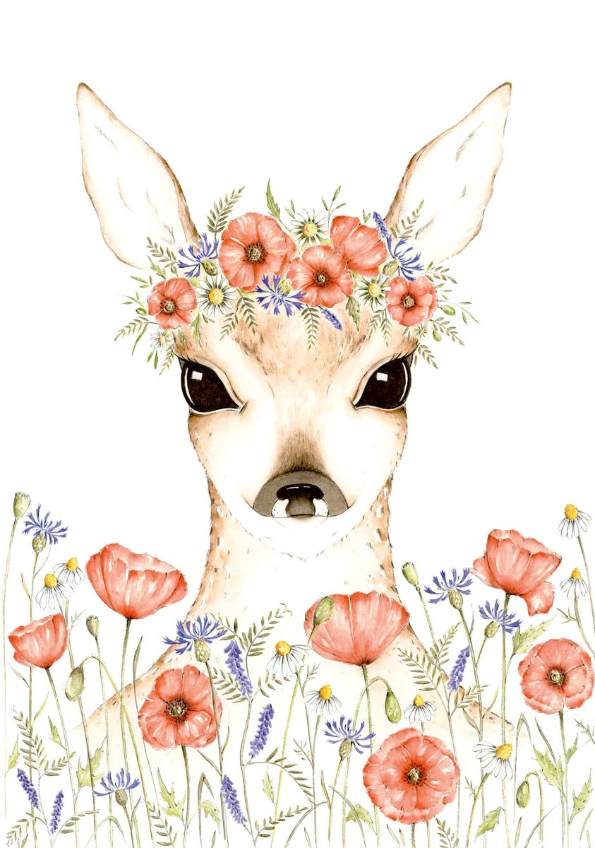 Karnet A5 Sarenka - Henry