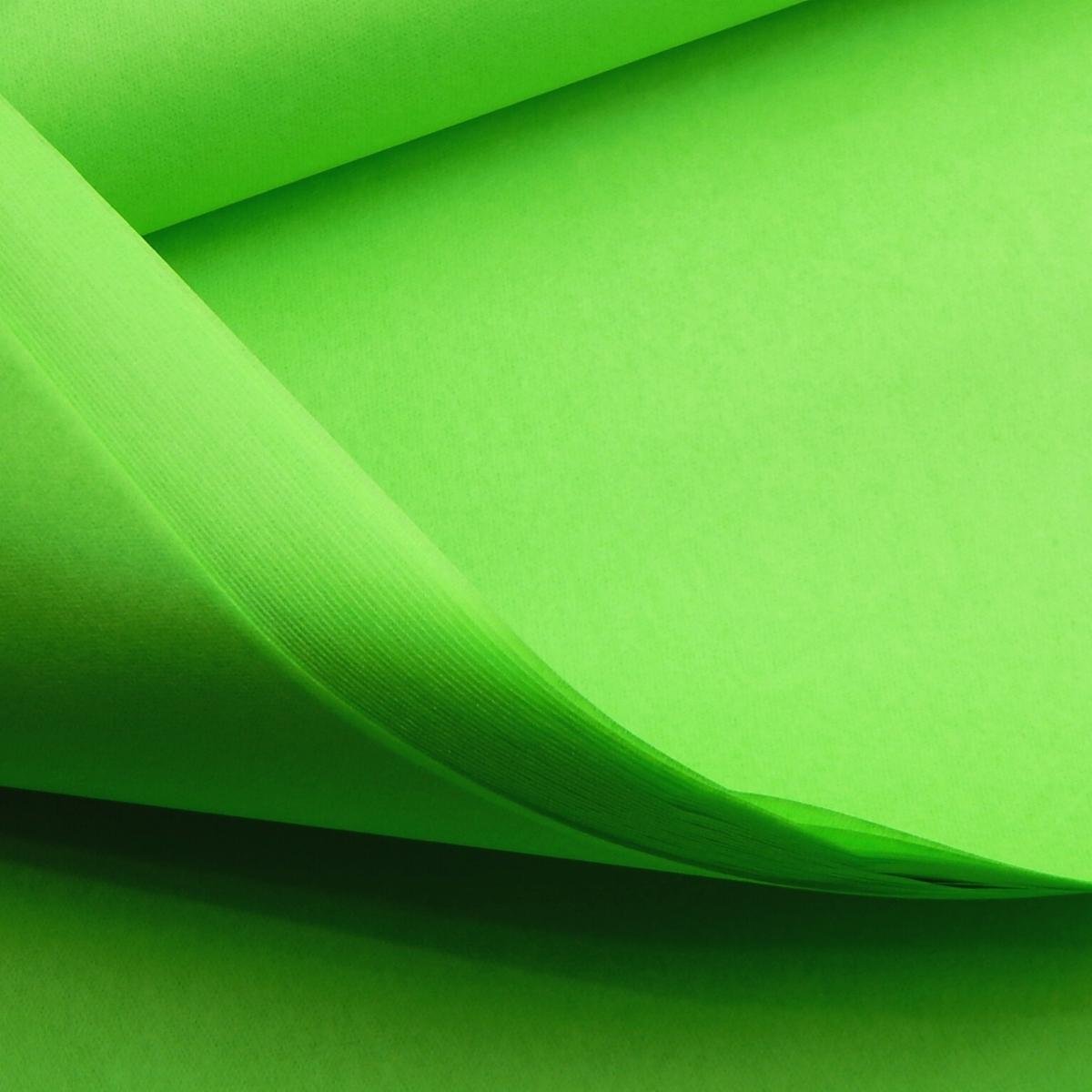 Bibułka Do Pakowania Zieleń Jabłka 50X70Cm 100 Szt