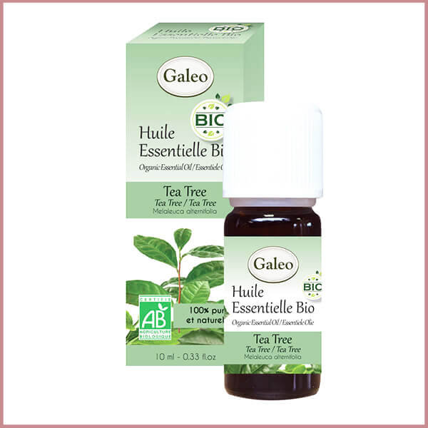 Galeo, Olejek eteryczny BIO z drzewa herbacianego, 10 ml