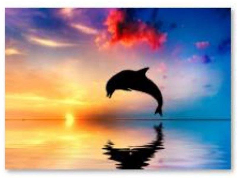 Haft Diamentowy, Obraz, Mozaika Diamentowa Diamond Painting, Delfin 40X30Cm