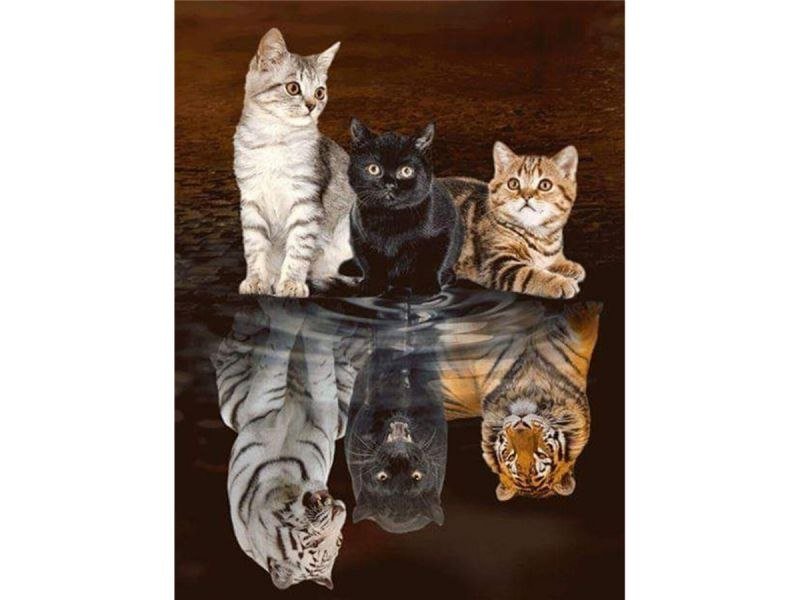 Haft Diamentowy, Obraz, Mozaika Diamentowa Diamond Painting, Odbicie Lustrzane - Trzy Koty 30X40Cm