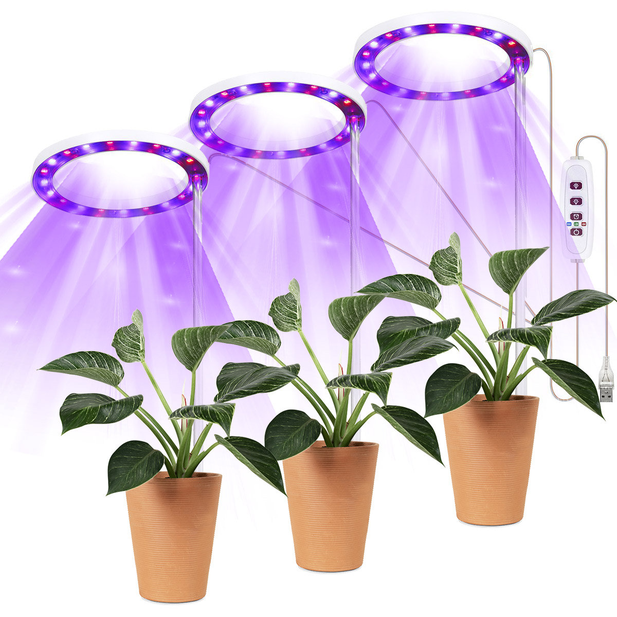 Lampa Led Plant Heckermann Pierścień Tsh-G1-2 - 3 Głowice - Fioletowy