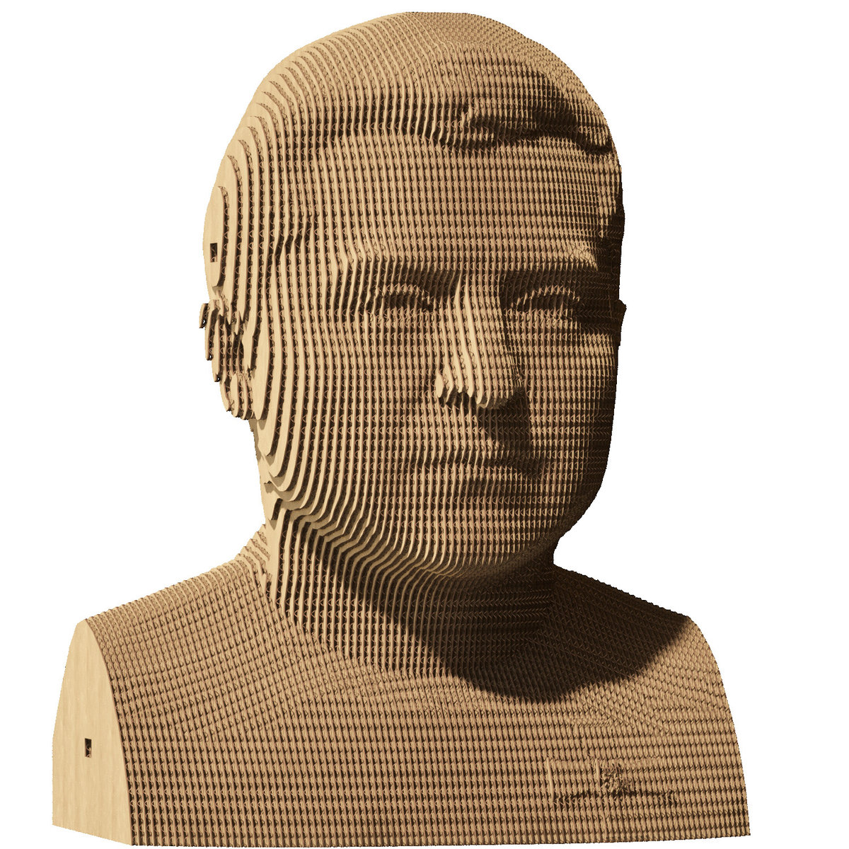 Puzzle 3D 'VOLODYMYR ZELENSKY' | CARTONIC