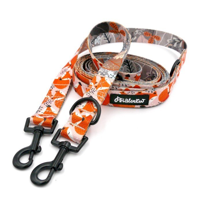 Smycz Dla Psa Przepinana Regulowana Foxy Lady Psiakrew, Szerokość 2,5 Cm, Karabińczyk 6Cm Czarny-300 Cm