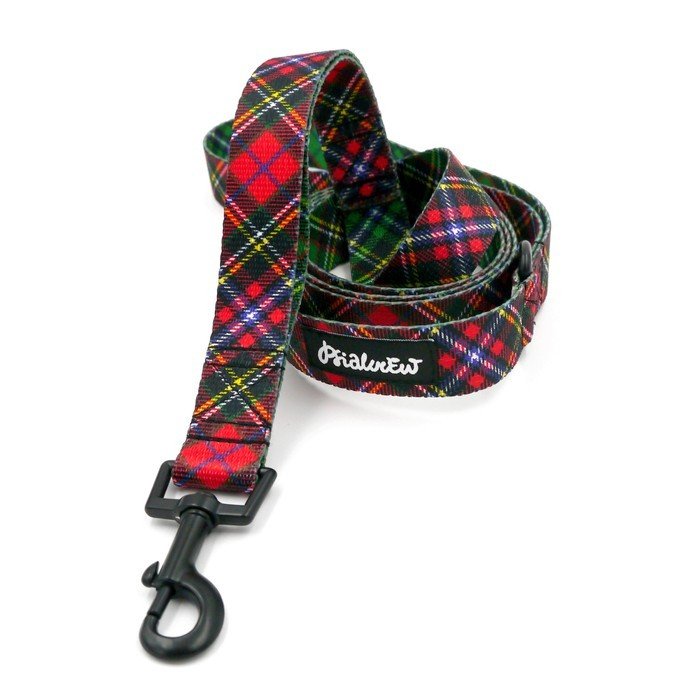 Smycz Spacerowa Miejska Dla Psa Tartan, Szerokość 2,5 Cm, Czarny Karabińczyk  6Cm-160 Cm