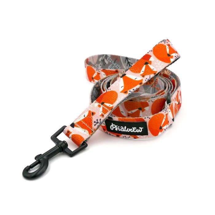 Smycz Spacerowa Miejska Dla Psa W Liski Foxy Lady, Szerokość 2,5 Cm, Czarny Karabińczyk  6Cm-160 Cm