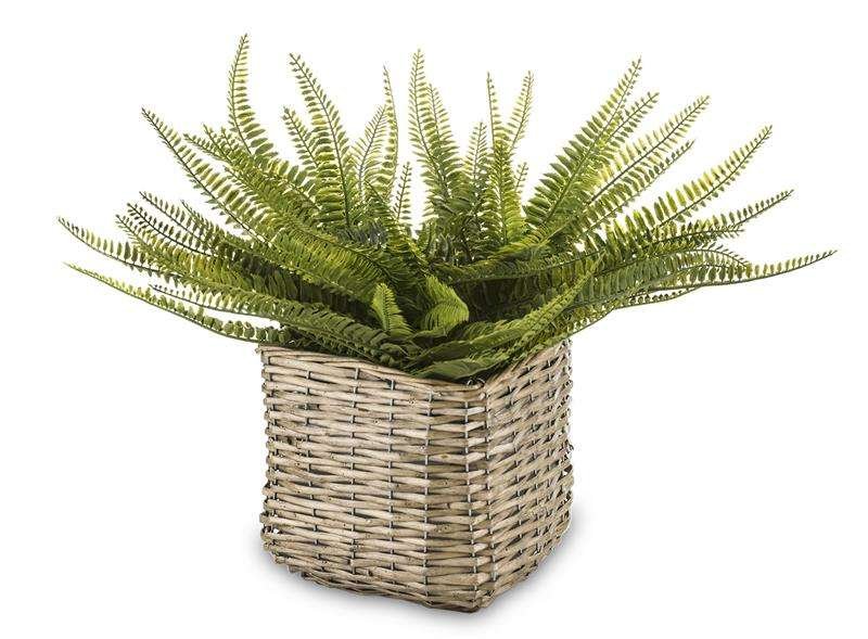 Roślina Dekoracyjna Tworzywo Sztuczne  Wys.45Cm