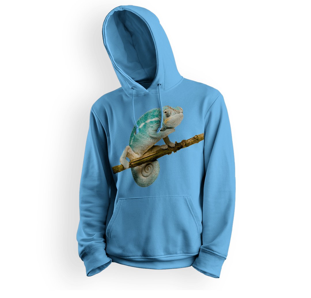 Bluza dziecięca z kapturem kameleon-152