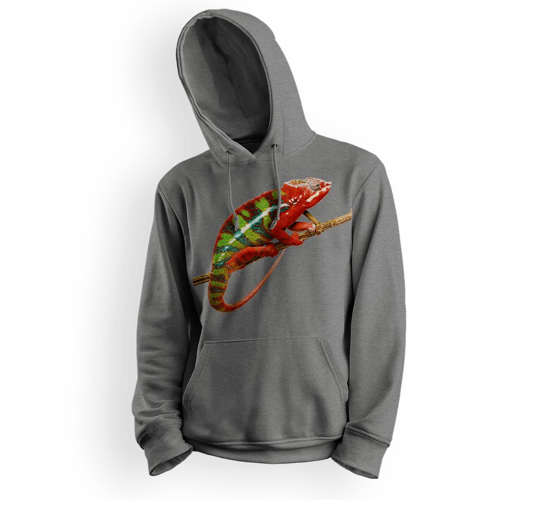 Bluza dziecięca z kapturem kameleon-128