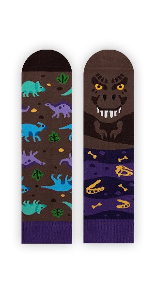 Zabawne Skarpetki W Dinozaury - T-Sox Kids - 23-26