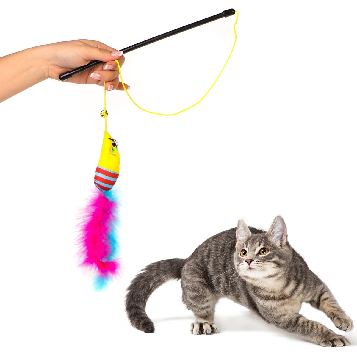 Happypet Carnival Mouse Toy - Zabawka Wędka Dla Kotów
