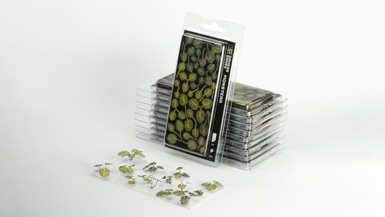 Laser Plants - Monstera