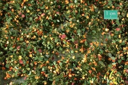 MiniNatur Tuft - Wczesnojesienne chwasty 2 15x4 cm