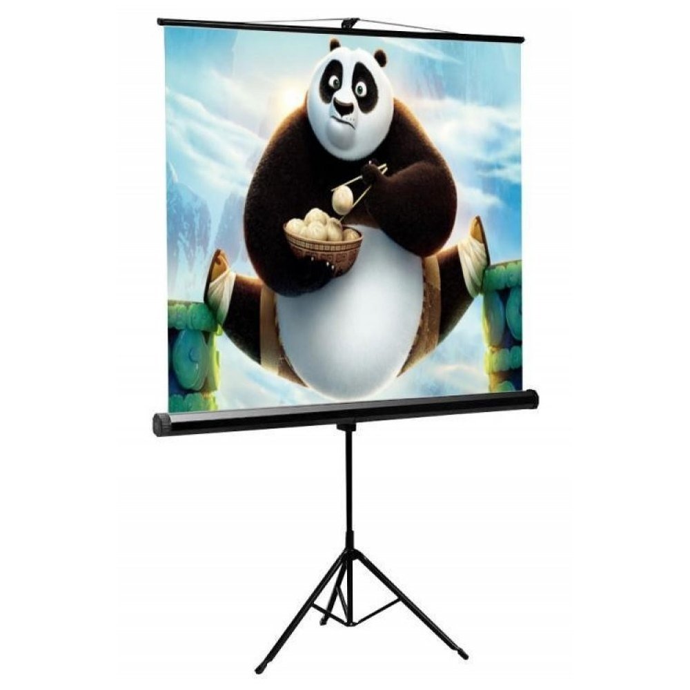 Sbox Ekran Projekcyjny 200x200cm 112