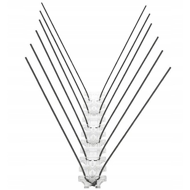 Nierdzewne Trwałe Kolce Na Ptaki Gołębie Avik