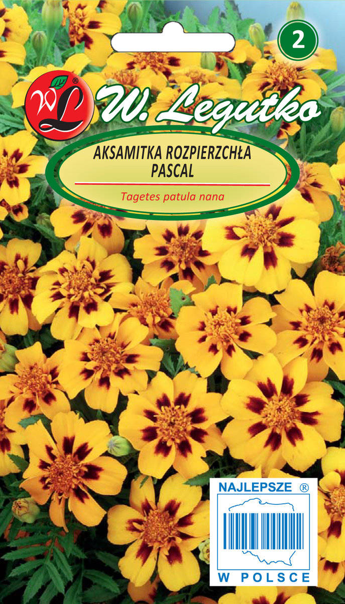 Legutko sp. z o.o Nasiona Aksamitka rozpierzchła Pascal złotożółta