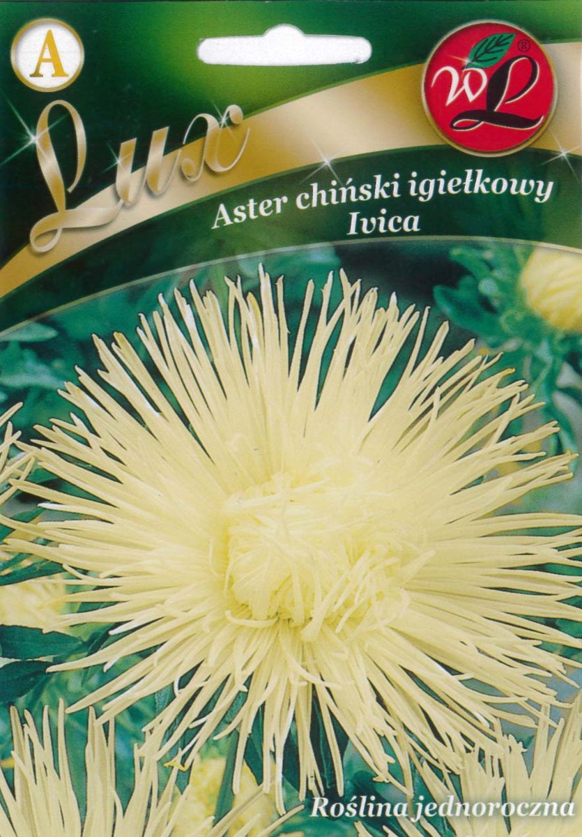 Legutko sp. z o.o Nasiona Aster chiński igiełkowy biały, 1g