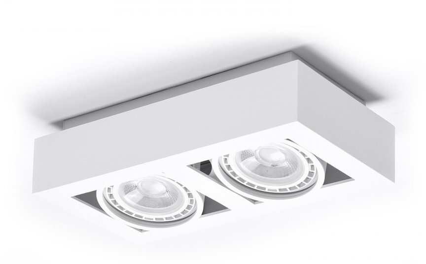 Azzardo NIKEA AZ4440 downlight natynkowy 2x16W/ES111 IP20 AZ4440