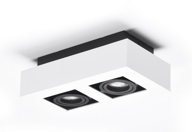 Azzardo NIKEA AZ4433 downlight natynkowy 2x50W/GU10 IP20 AZ4433