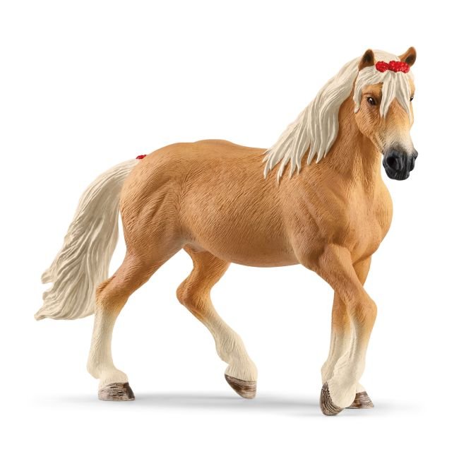 Klacz rasy haflinger