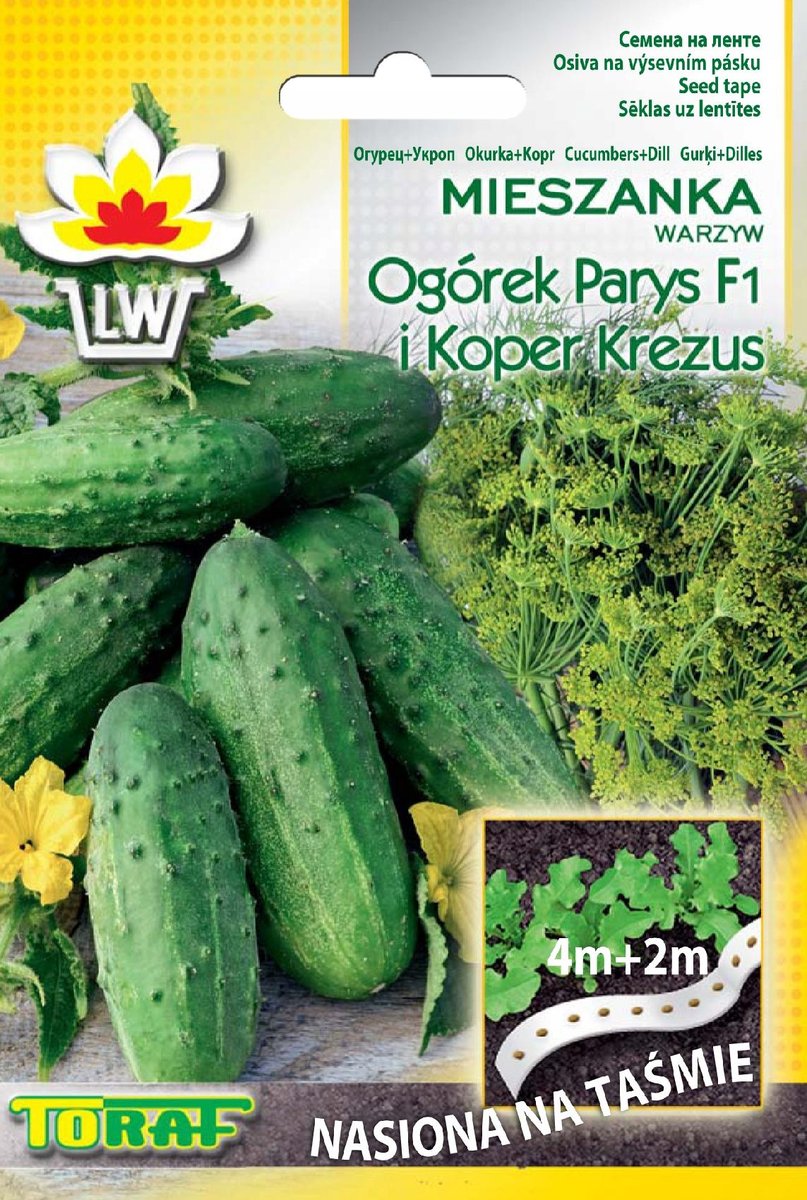 Toraf Ogórek Parys + Koper Krezus nasiona na taśmie 6m 00260