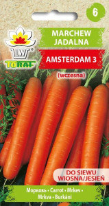 Toraf Marchew Jadalna AMSTERDAM 3 (5g) Nas000168