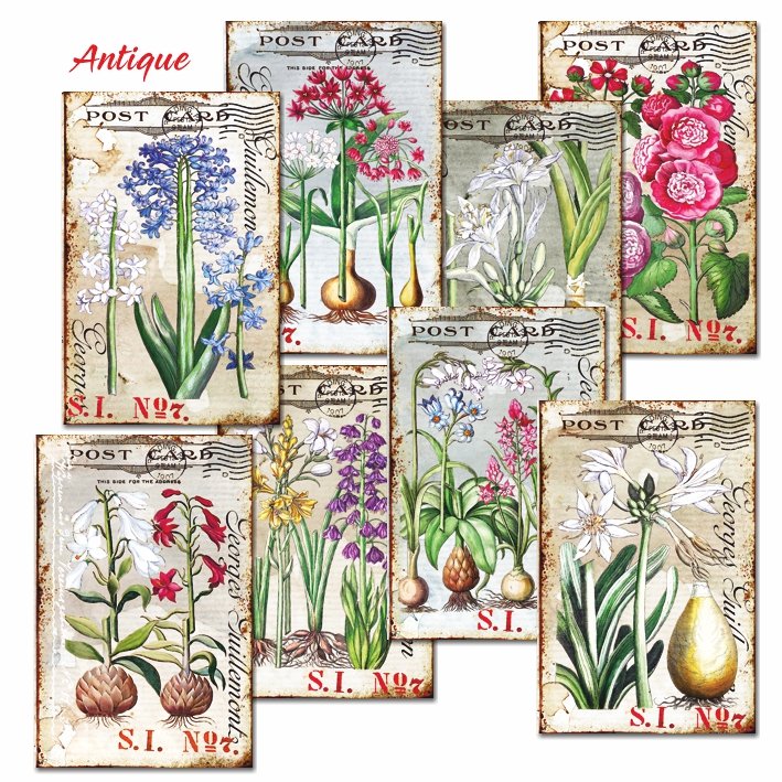 Papiery Do Scrapbookingu - Bileciki Prezentowe – Karneciki Zestaw M108  Antyczne Kwiaty 24Szt