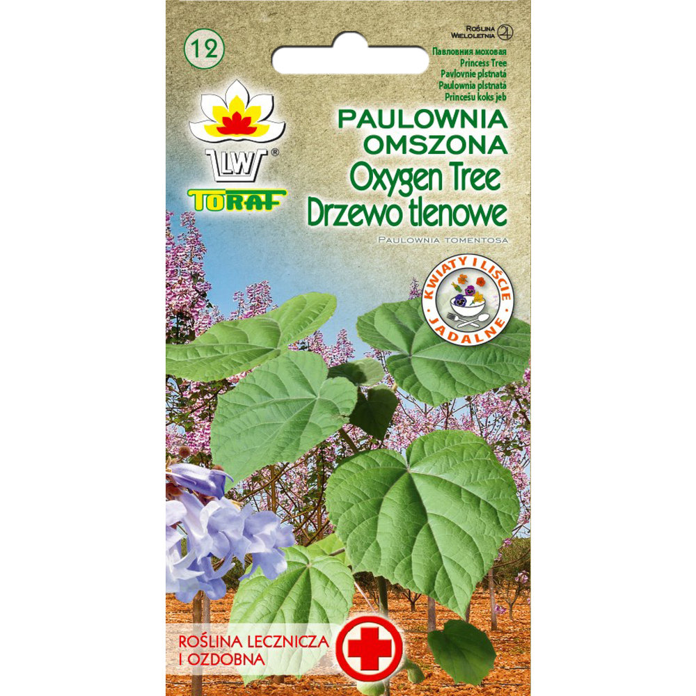 Paulownia Omszona Oxygen Tree - Drzewo Tlenowe Nasiona 0,1G