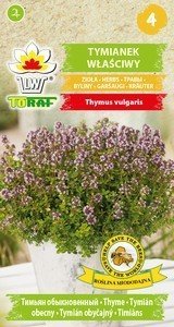 Toraf Tymianek właściwy nasiona ziół 0,5g 00050