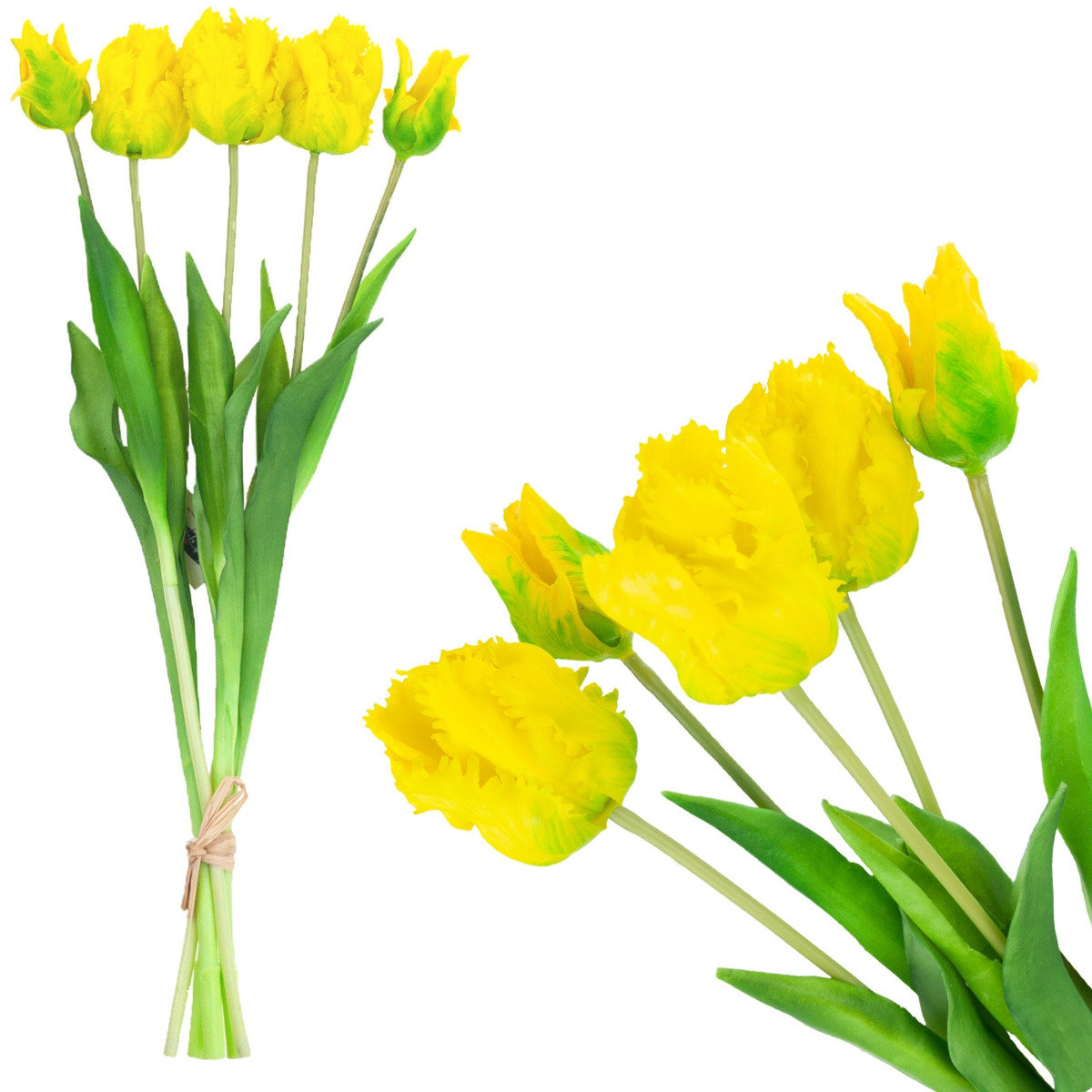 Tulipany Tulipan Papuzie Bukiet Gumowane 5Szt Real