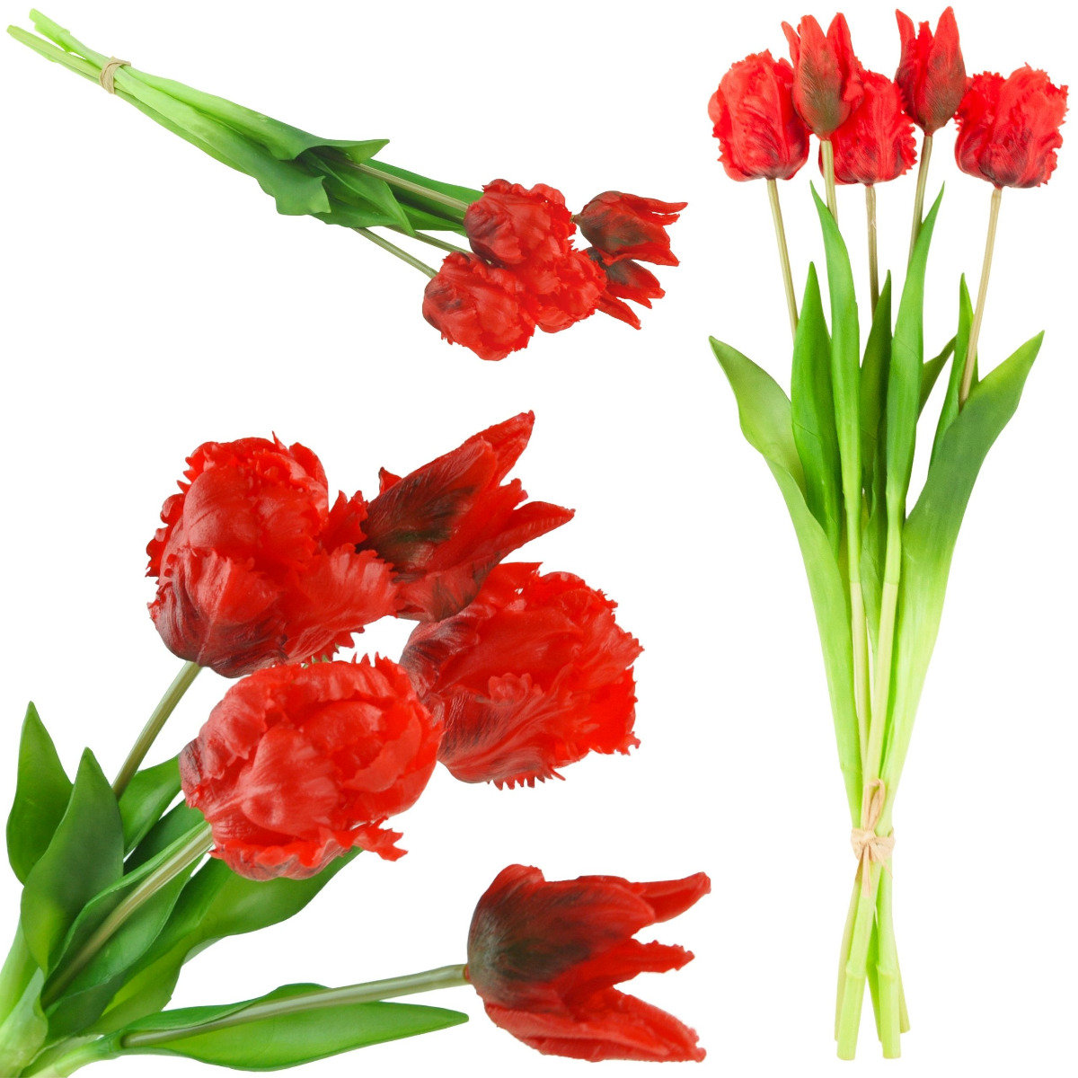 Tulipany Tulipan Papuzie Bukiet Gumowane 5Szt Real
