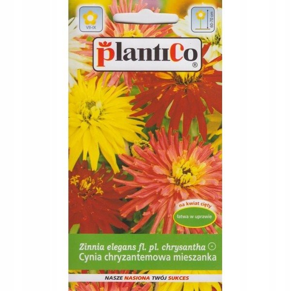 Nasiona Cynia Wytw. Chryzantem. Glamour Girls 1 Gram Plantico