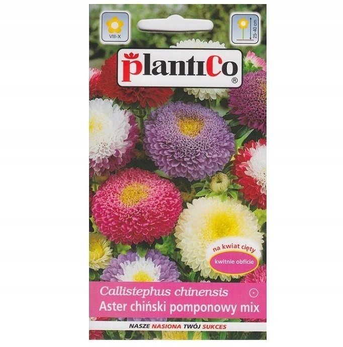 Nasiona Aster Ch. Pomponowy Mieszanka 1 Gram Plantico
