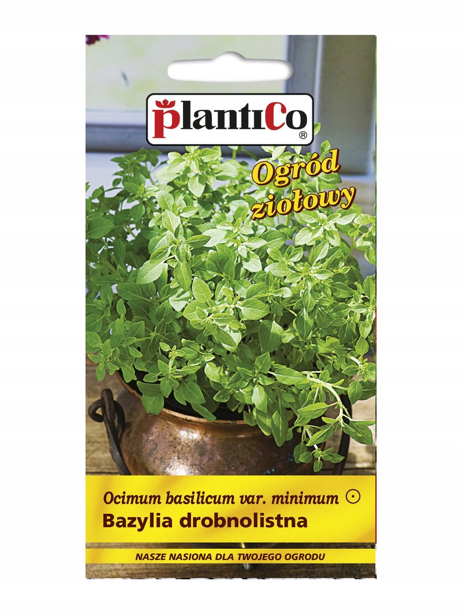 Plantico Bazylia drobnolistna