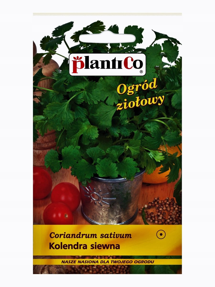 Plantico Kolendra siewna