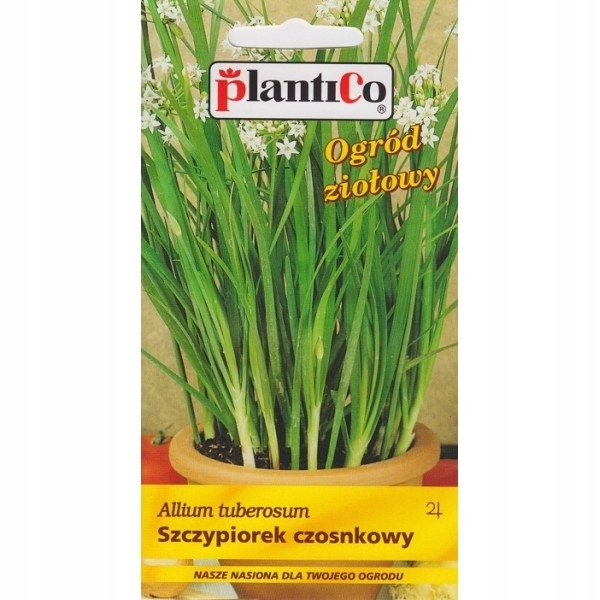 Plantico Szczypiorek czosnkowy