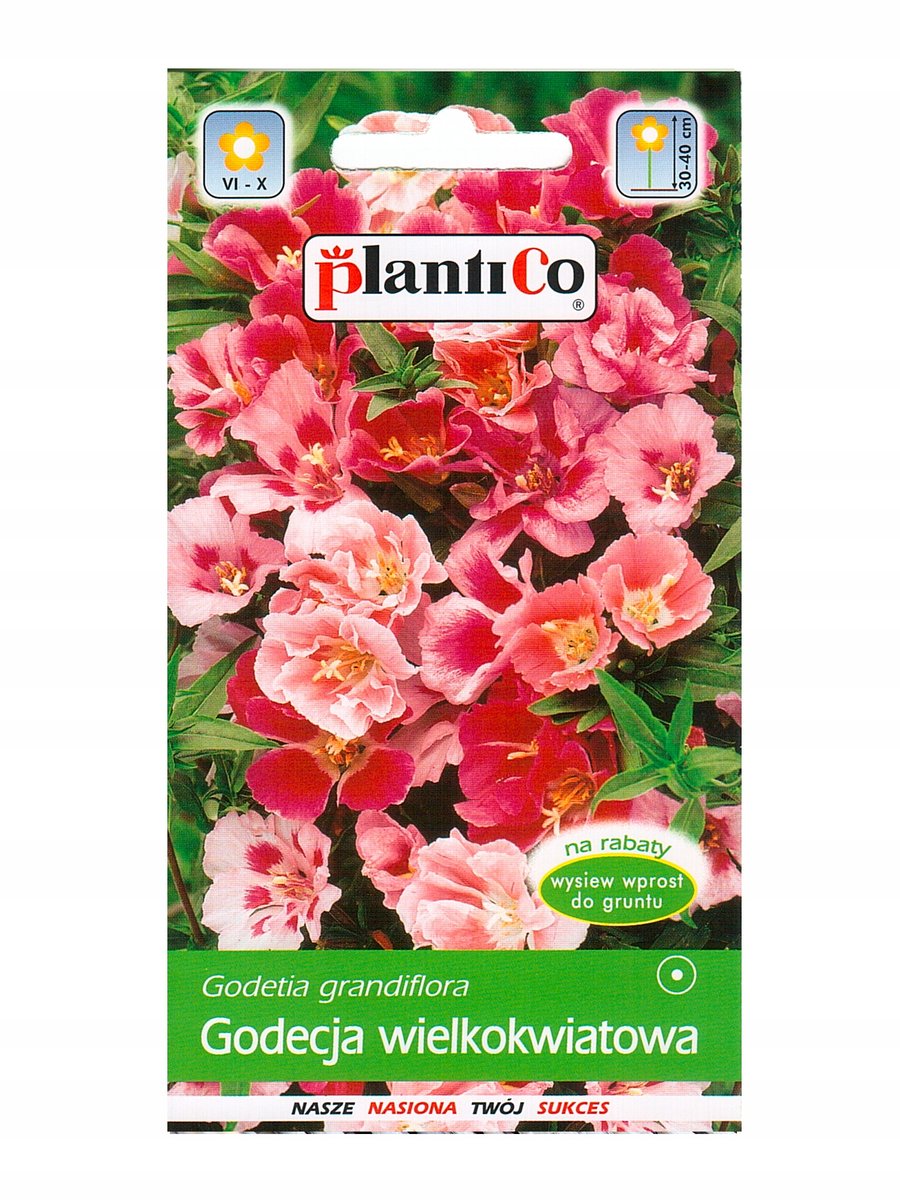 Plantico Godecja wielkokwiatowa mix