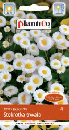 Nasiona Stokrotka Półpełna Trwała Biała 0,1G Plantico