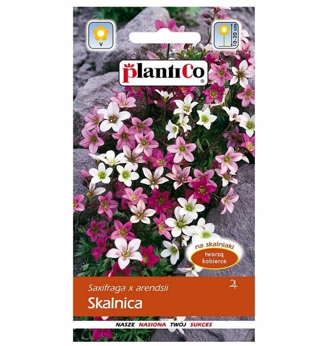 Nasiona Skalnica 0,05G Plantico