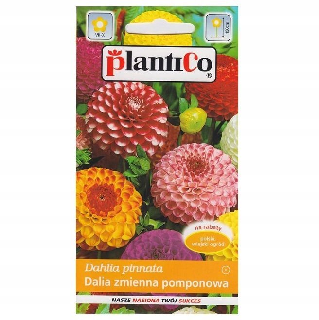 Nasiona Dalia Pomponowa Mix 1 Gram Plantico